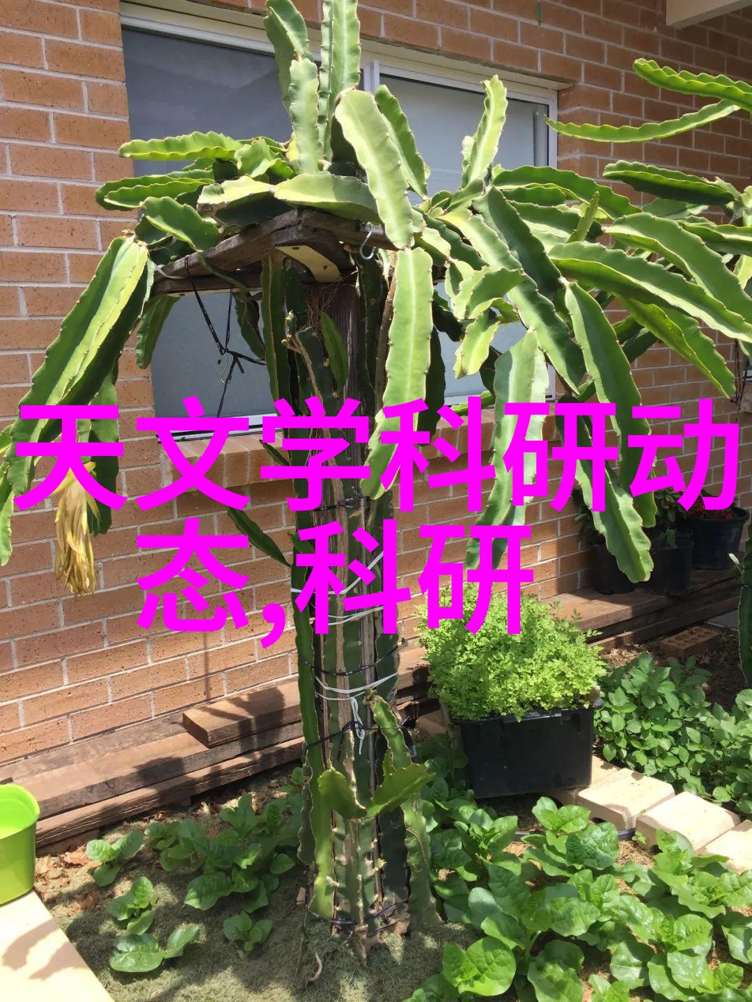 东南大学获校友捐赠3000万