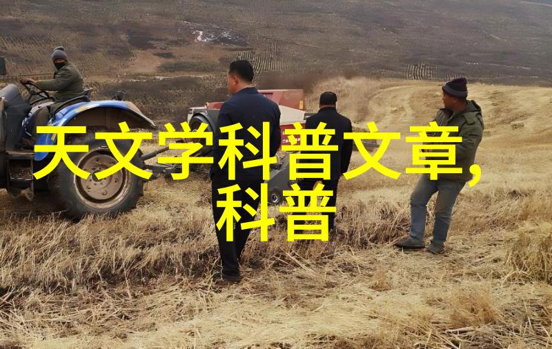 办公室装修完成后我们如何选择防辐射植物